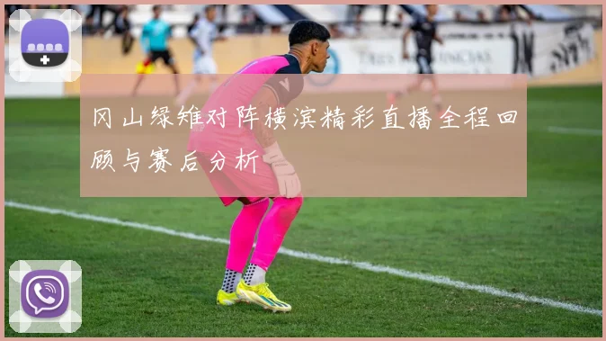冈山绿雉对阵横滨精彩直播全程回顾与赛后分析