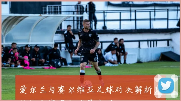 爱尔兰与赛尔维亚足球对决解析期待精彩赛事与球员表现