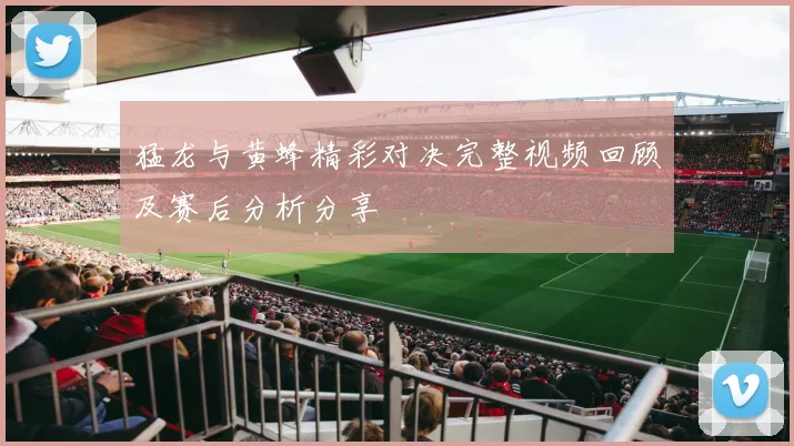 猛龙与黄蜂精彩对决完整视频回顾及赛后分析分享