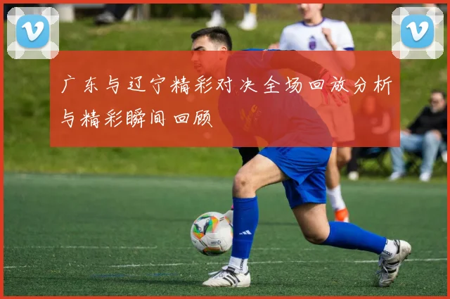 广东与辽宁精彩对决全场回放分析与精彩瞬间回顾